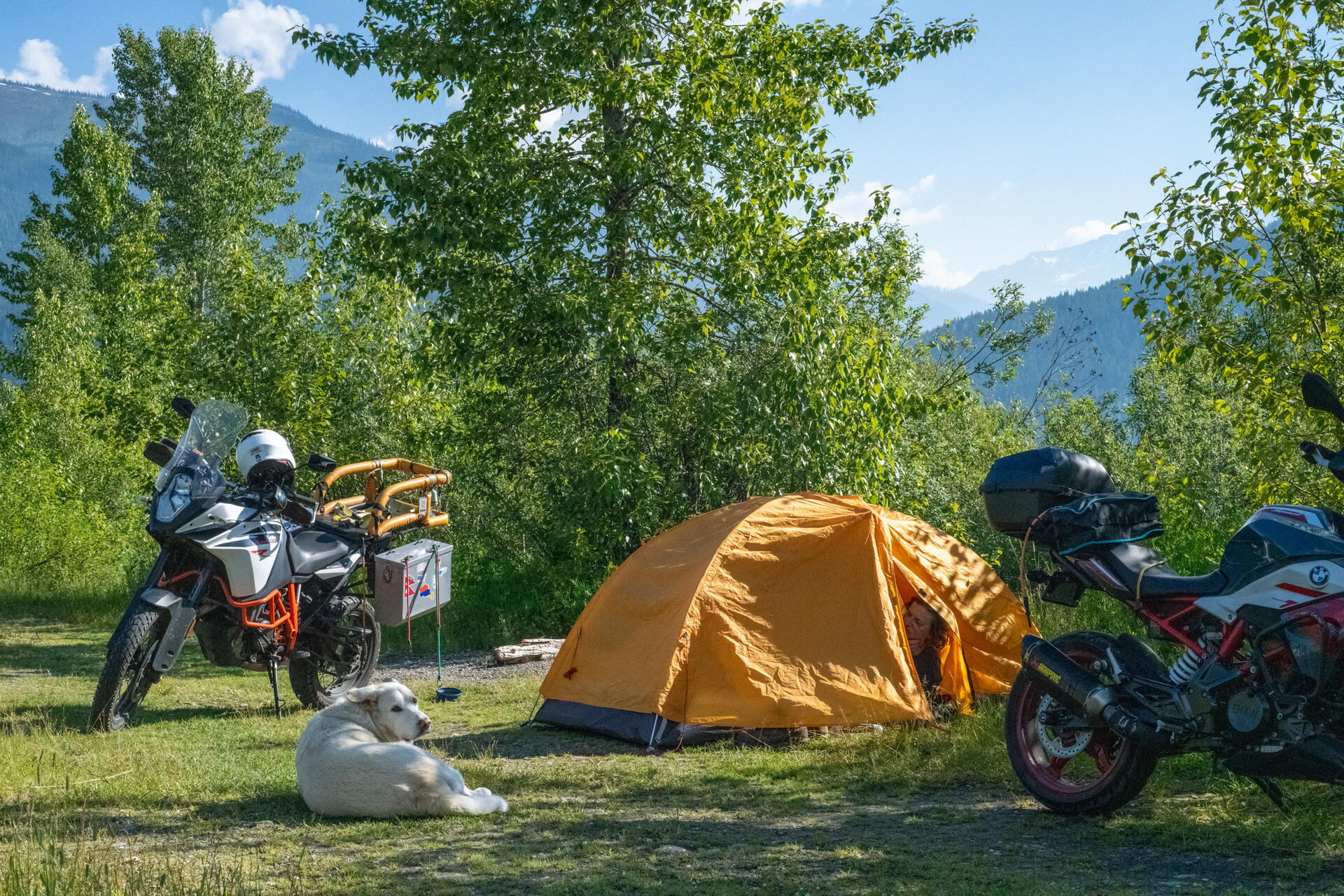 DSC_7167.jpg